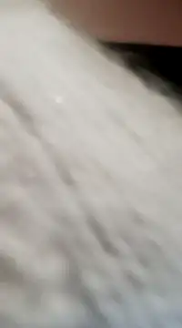 Snapshot of JAWHARA_ chatting on December 2024 08:04:01 PM JAWHARA online show from December 2024 08:04:01 PM