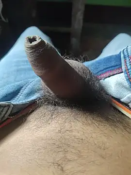 iaparna online show from November 2025 07:42:01 AM