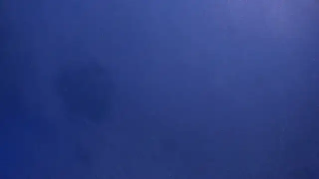 Snapshot of celestelewis chatting on March 2025 07:49:02 PM celestelewis online show from March 2025 07:49:02 PM