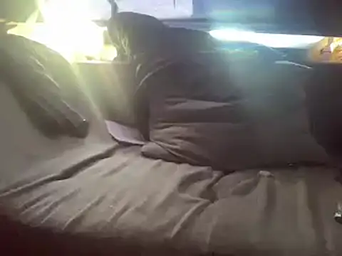 Rauschi00 online show from March 2025 02:51:02 PM