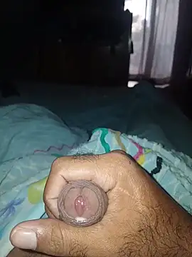 taylorWiiz online show from March 2026 12:55:01 PM