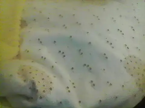 Bigpenis6y online show from January 2025 05:21:01 AM