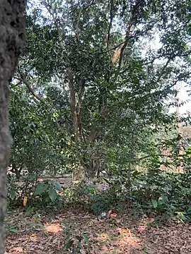 Hot Urvi online show from April 2026 09:41:02 AM