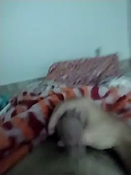 lm279 online show from February 2025 05:33:01 PM