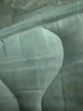 lm279 online show from February 2025 08:20:02 PM