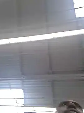 bigboytoy912 online show from June 2026 04:53:02 PM