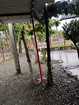 BeetledFlouter12 online show from September 2025 07:07:02 PM