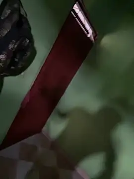 Alphadavid 23 online show from February 2025 07:16:01 PM