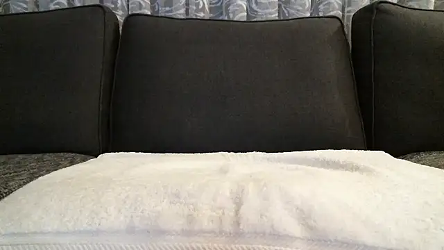 77 No Name 77 online show from February 2026 02:04:02 AM