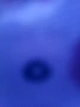 Mia ross16 online show from March 2025 06:11:01 PM