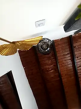 Mia ross16 online show from March 2025 06:56:01 PM