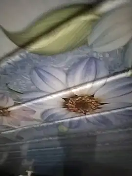 kunalmishra2003 online show from November 2025 11:48:02 PM