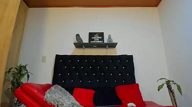 julian wallace online show from February 2025 04:48:02 PM