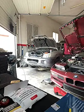 donnuozfutura online show from February 2025 09:42:01 AM