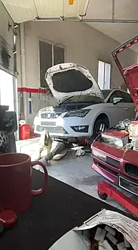 Snapshot of donnuozfutura chatting on February 2025 02:20:01 PM donnuozfutura online show from February 2025 02:20:01 PM