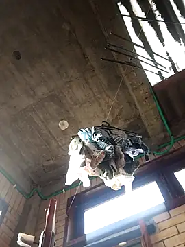 Snapshot of gigolopez1 chatting on February 2026 12:14:02 PM gigolopez1 online show from February 2026 12:14:02 PM