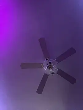 badbish777 online show from March 2025 10:49:01 AM