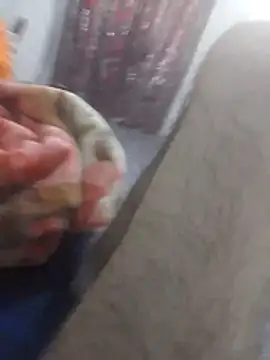 Srah0 online show from April 2026 11:38:01 AM