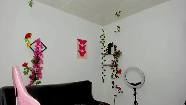Snapshot of Emic_ chatting on February 2025 02:48:02 PM Emic online show from February 2025 02:48:02 PM