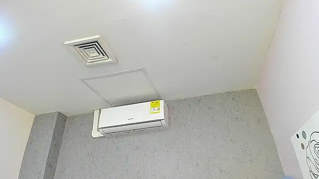 Tiffany mendez online show from February 2026 12:01:02 PM