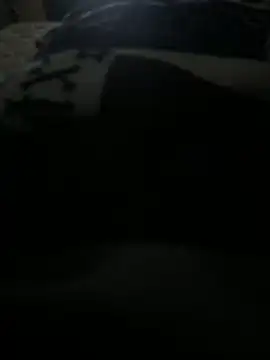 Luis0klk online show from October 2025 05:08:01 AM