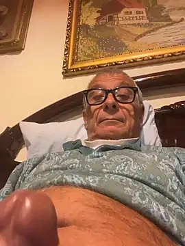 4n4l1zz4m1 online show from November 2025 04:47:01 AM