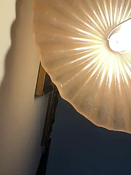 4n4l1zz4m1 online show from February 2026 03:27:02 PM