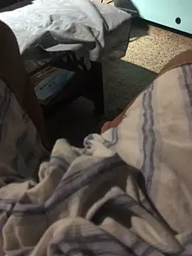 CookedAccord7 online show from April 2026 09:04:02 PM