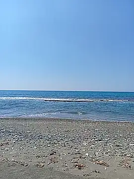 dhaadhawe online show from April 2026 08:06:01 AM