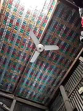 Koyel-Sen online show from January 2025 07:03:01 AM