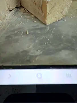 seloloko20 online show from December 2025 08:08:02 AM