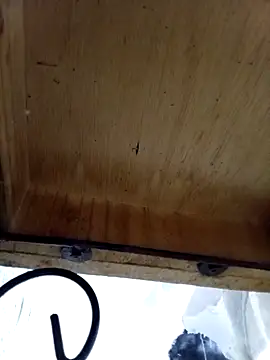 DaniSexFlow online show from October 2025 04:34:02 AM