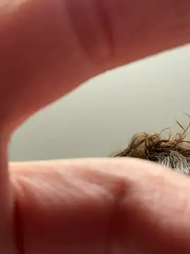 laninasub online show from April 2026 03:30:02 AM