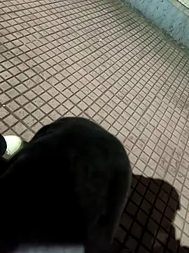 SurjS9 online show from September 2025 03:35:02 PM