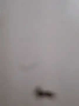 BriannaVincent online show from September 2025 04:01:02 AM