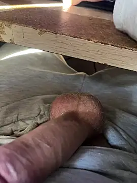 toto36643 online show from February 2026 08:30:01 AM