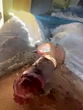 toto36643 online show from February 2026 10:23:01 AM