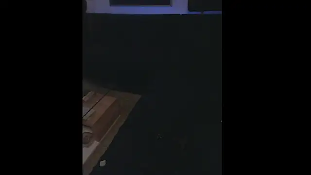 Snapshot of LuggiJack chatting on January 2025 06:27:01 PM LuggiJack online show from January 2025 06:27:01 PM