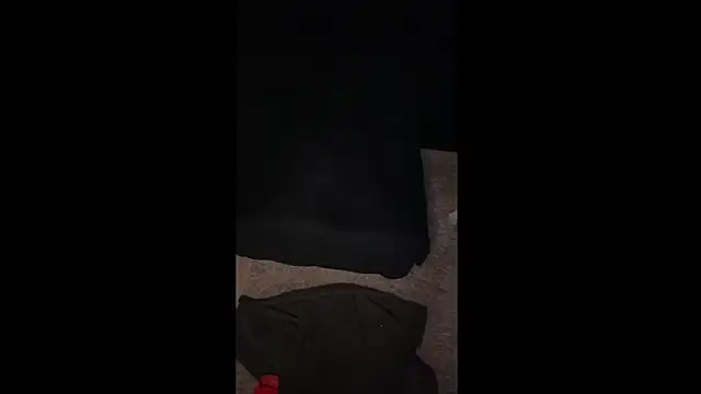 Snapshot of LuggiJack chatting on February 2025 01:11:02 AM LuggiJack online show from February 2025 01:11:02 AM