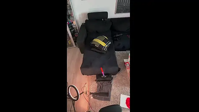 Snapshot of LuggiJack chatting on February 2025 12:29:02 PM LuggiJack online show from February 2025 12:29:02 PM