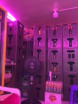 Hot beauty   online show from March 2026 03:23:02 AM