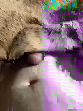 sansato133 online show from January 2025 09:44:02 AM