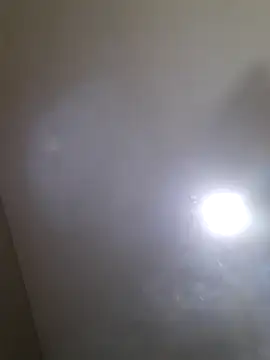 Snapshot of Colorao4 chatting on September 2025 02:55:01 PM Colorao4 online show from September 2025 02:55:01 PM