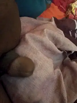 sadunt online show from March 2026 06:52:01 AM