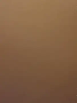 EvaRush online show from February 2025 08:11:02 PM