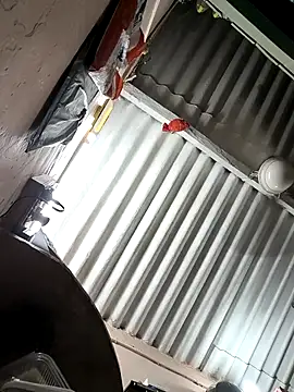 arppyyyxx online show from October 2025 07:35:02 PM