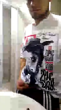 Jair BM online show from March 2025 03:45:01 AM