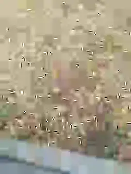 Snapshot of Mrveda66 chatting on February 2026 11:03:01 AM Mrveda66 online show from February 2026 11:03:01 AM