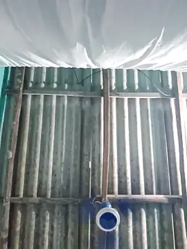 hotbaby 5 online show from October 2025 02:53:01 PM