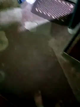 Snapshot of InboardHasek chatting on December 2024 01:28:01 PM InboardHasek online show from December 2024 01:28:01 PM